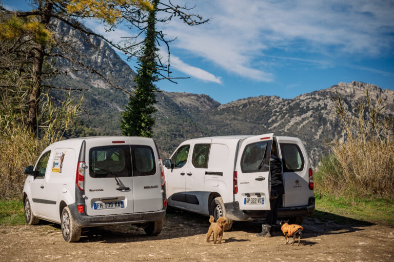 Transport Priv&eacute; pour Chiens
